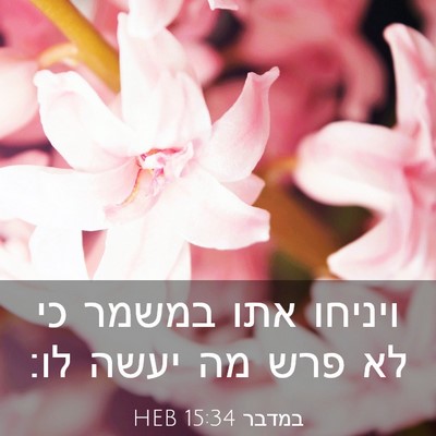Picture 03 - במדבר 15:34 HEB - ויניחו אתו במשמר כי לא פרש - Bible Verse Picture
