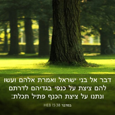 Picture 03 - במדבר 15:38 HEB - דבר אל בני ישראל ואמרת אלהם - Bible Verse Picture