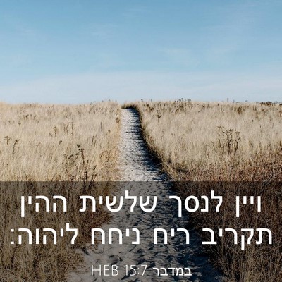 Picture 03 - במדבר 15:7 HEB - ויין לנסך שלשית ההין תקריב - Bible Verse Picture