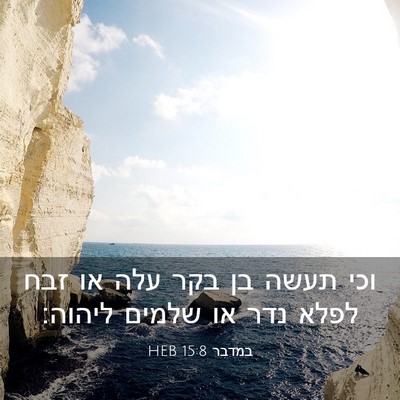 Picture 03 - במדבר 15:8 HEB - וכי תעשה בן בקר עלה או זבח - Bible Verse Picture