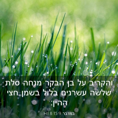 Picture 03 - במדבר 15:9 HEB - והקריב על בן הבקר מנחה סלת - Bible Verse Picture