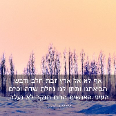 Picture 03 - במדבר 16:14 HEB - אף לא אל ארץ זבת חלב ודבש - Bible Verse Picture