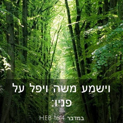Picture 03 - במדבר 16:4 HEB - וישמע משה ויפל על - Bible Verse Picture