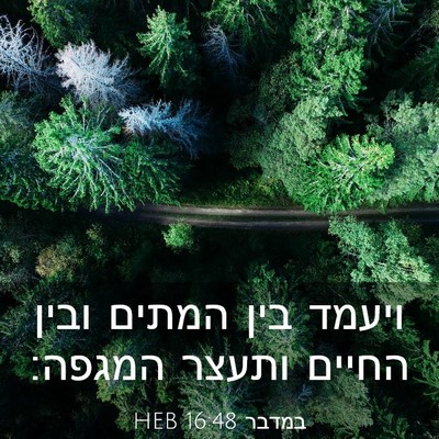 Picture 03 - במדבר 16:48 HEB - ויעמד בין המתים ובין החיים - Bible Verse Picture
