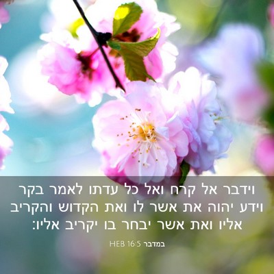 Picture 03 - במדבר 16:5 HEB - וידבר אל קרח ואל כל עדתו - Bible Verse Picture