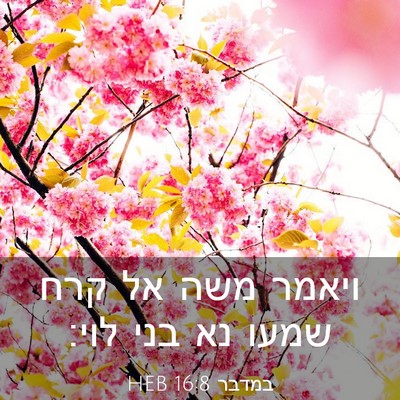 Picture 03 - במדבר 16:8 HEB - ויאמר משה אל קרח שמעו נא - Bible Verse Picture