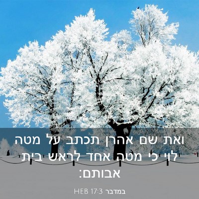 Picture 03 - במדבר 17:3 HEB - ואת שם אהרן תכתב על מטה לוי - Bible Verse Picture