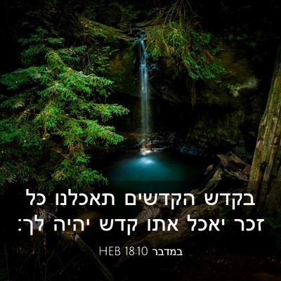 Picture 03 - במדבר 18:10 HEB - בקדש הקדשים תאכלנו כל זכר - Bible Verse Picture
