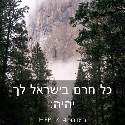 Picture 03 - במדבר 18:14 HEB - כל חרם בישראל לך - Bible Verse Picture