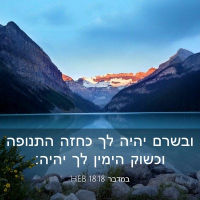 Picture 03 - במדבר 18:18 HEB - ובשרם יהיה לך כחזה התנופה - Bible Verse Picture