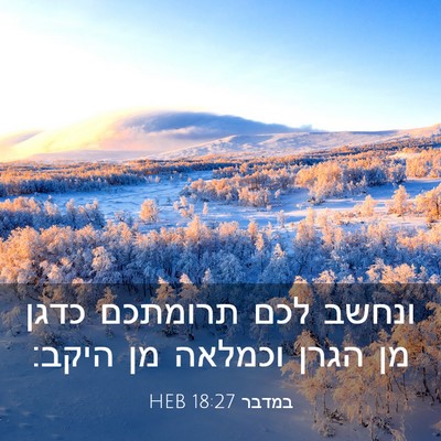Picture 03 - במדבר 18:27 HEB - ונחשב לכם תרומתכם כדגן מן - Bible Verse Picture