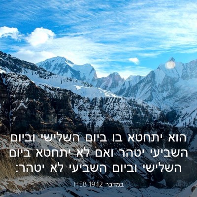 Picture 03 - במדבר 19:12 HEB - הוא יתחטא בו ביום השלישי - Bible Verse Picture