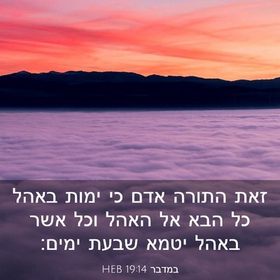 Picture 03 - במדבר 19:14 HEB - זאת התורה אדם כי ימות באהל - Bible Verse Picture