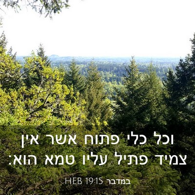 Picture 03 - במדבר 19:15 HEB - וכל כלי פתוח אשר אין צמיד - Bible Verse Picture