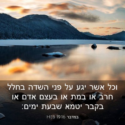 Picture 03 - במדבר 19:16 HEB - וכל אשר יגע על פני השדה - Bible Verse Picture