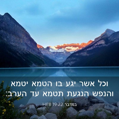 Picture 03 - במדבר 19:22 HEB - וכל אשר יגע בו הטמא יטמא - Bible Verse Picture