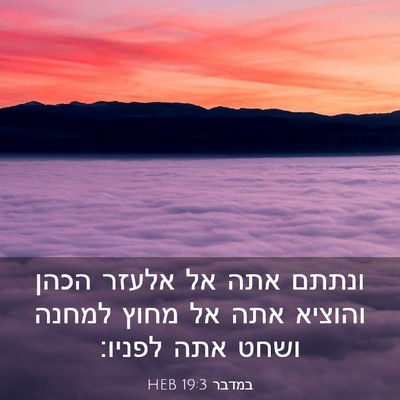 Picture 03 - במדבר 19:3 HEB - ונתתם אתה אל אלעזר הכהן - Bible Verse Picture
