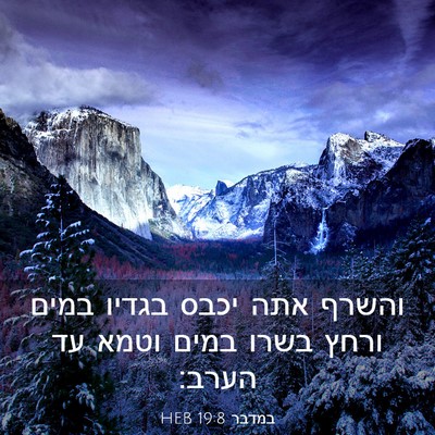 Picture 03 - במדבר 19:8 HEB - והשרף אתה יכבס בגדיו במים - Bible Verse Picture