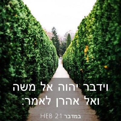Picture 03 - במדבר 2:1 HEB - וידבר יהוה אל משה ואל אהרן - Bible Verse Picture