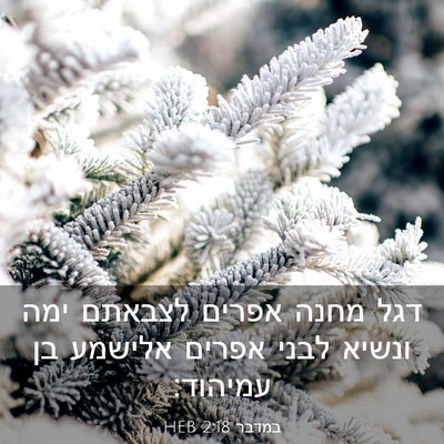 Picture 03 - במדבר 2:18 HEB - דגל מחנה אפרים לצבאתם ימה - Bible Verse Picture
