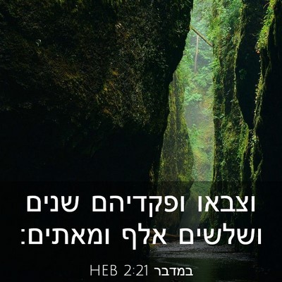 Picture 03 - במדבר 2:21 HEB - וצבאו ופקדיהם שנים ושלשים - Bible Verse Picture