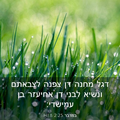 Picture 03 - במדבר 2:25 HEB - דגל מחנה דן צפנה לצבאתם - Bible Verse Picture