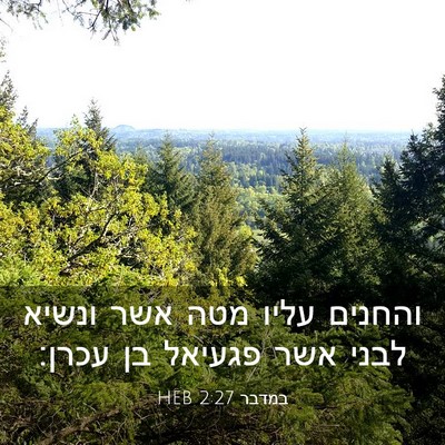 Picture 03 - במדבר 2:27 HEB - והחנים עליו מטה אשר ונשיא - Bible Verse Picture