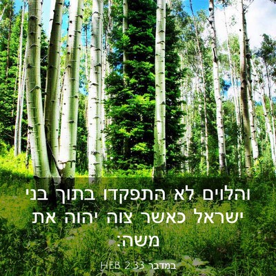 Picture 03 - במדבר 2:33 HEB - והלוים לא התפקדו בתוך בני - Bible Verse Picture