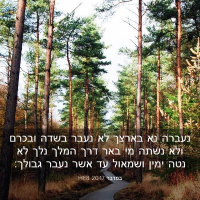 Picture 03 - במדבר 20:17 HEB - נעברה נא בארצך לא נעבר בשדה - Bible Verse Picture