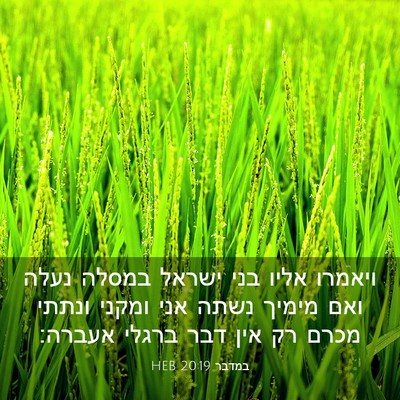 Picture 03 - במדבר 20:19 HEB - ויאמרו אליו בני ישראל - Bible Verse Picture
