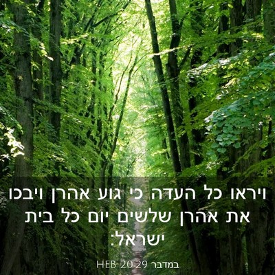 Picture 03 - במדבר 20:29 HEB - ויראו כל העדה כי גוע אהרן - Bible Verse Picture