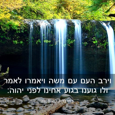 Picture 03 - במדבר 20:3 HEB - וירב העם עם משה ויאמרו לאמר - Bible Verse Picture