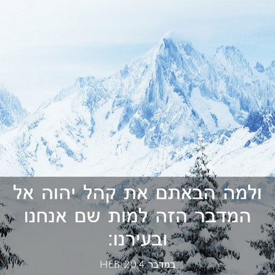 Picture 03 - במדבר 20:4 HEB - ולמה הבאתם את קהל יהוה אל - Bible Verse Picture