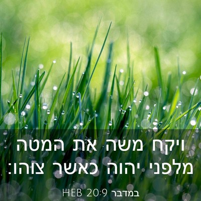 Picture 03 - במדבר 20:9 HEB - ויקח משה את המטה מלפני יהוה - Bible Verse Picture