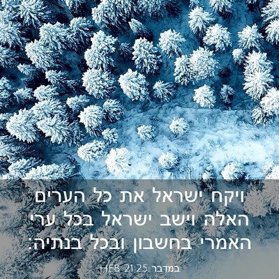 Picture 03 - במדבר 21:25 HEB - ויקח ישראל את כל הערים האלה - Bible Verse Picture