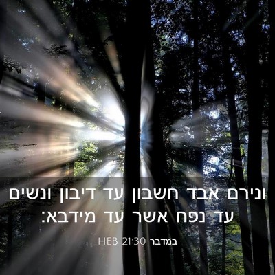 Picture 03 - במדבר 21:30 HEB - ונירם אבד חשבון עד דיבון - Bible Verse Picture