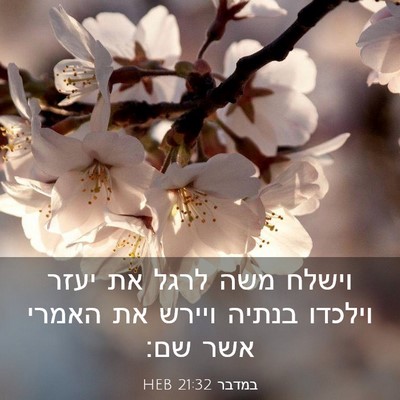 Picture 03 - במדבר 21:32 HEB - וישלח משה לרגל את יעזר - Bible Verse Picture