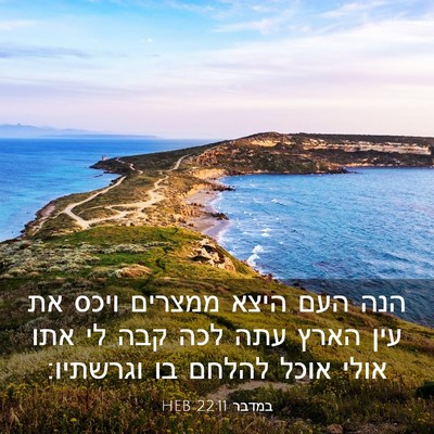 Picture 03 - במדבר 22:11 HEB - הנה העם היצא ממצרים ויכס את - Bible Verse Picture