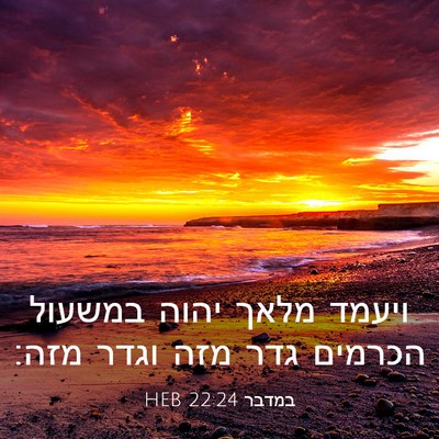 Picture 03 - במדבר 22:24 HEB - ויעמד מלאך יהוה במשעול - Bible Verse Picture