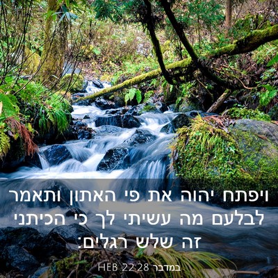 Picture 03 - במדבר 22:28 HEB - ויפתח יהוה את פי האתון - Bible Verse Picture