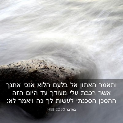Picture 03 - במדבר 22:30 HEB - ותאמר האתון אל בלעם הלוא - Bible Verse Picture