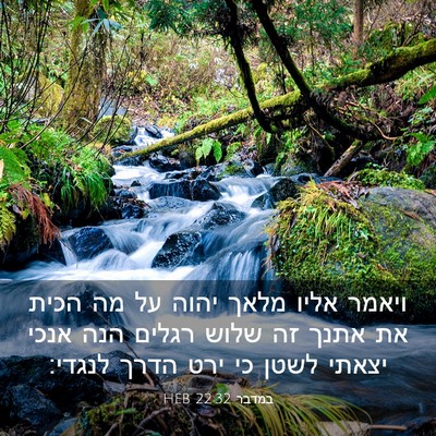 Picture 03 - במדבר 22:32 HEB - ויאמר אליו מלאך יהוה על מה - Bible Verse Picture