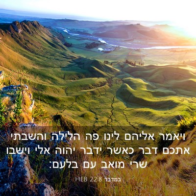 Picture 03 - במדבר 22:8 HEB - ויאמר אליהם לינו פה הלילה - Bible Verse Picture