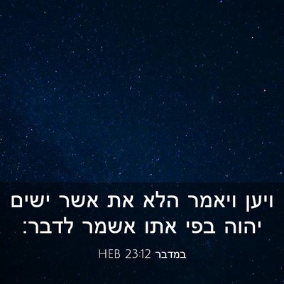 Picture 03 - במדבר 23:12 HEB - ויען ויאמר הלא את אשר ישים - Bible Verse Picture