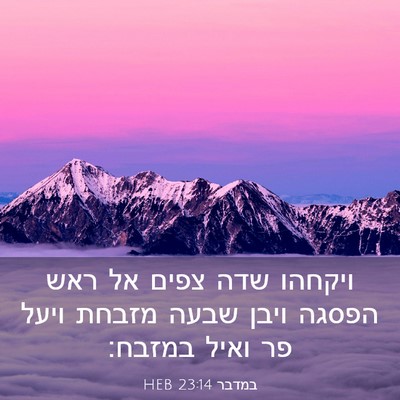 Picture 03 - במדבר 23:14 HEB - ויקחהו שדה צפים אל ראש - Bible Verse Picture