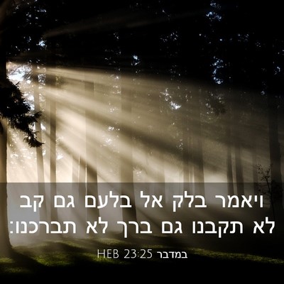 Picture 03 - במדבר 23:25 HEB - ויאמר בלק אל בלעם גם קב לא - Bible Verse Picture