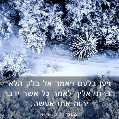 Picture 03 - במדבר 23:26 HEB - ויען בלעם ויאמר אל בלק הלא - Bible Verse Picture