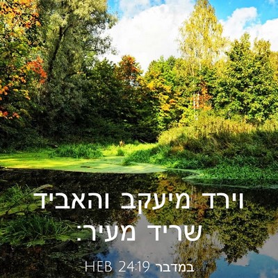 Picture 03 - במדבר 24:19 HEB - וירד מיעקב והאביד שריד - Bible Verse Picture