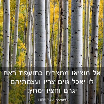 Picture 03 - במדבר 24:8 HEB - אל מוציאו ממצרים כתועפת - Bible Verse Picture