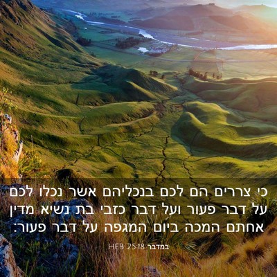 Picture 03 - במדבר 25:18 HEB - כי צררים הם לכם בנכליהם אשר - Bible Verse Picture